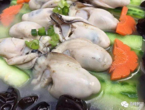 又到生蚝肥美时，赶紧赴约台山“蚝”门盛宴