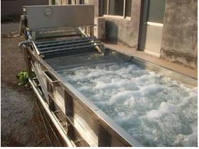 水产养殖 现代渔业的重要支柱与可持续发展探讨